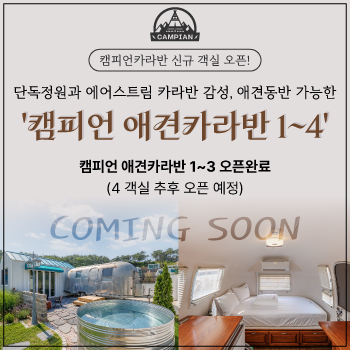 애견객실