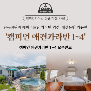 애견객실